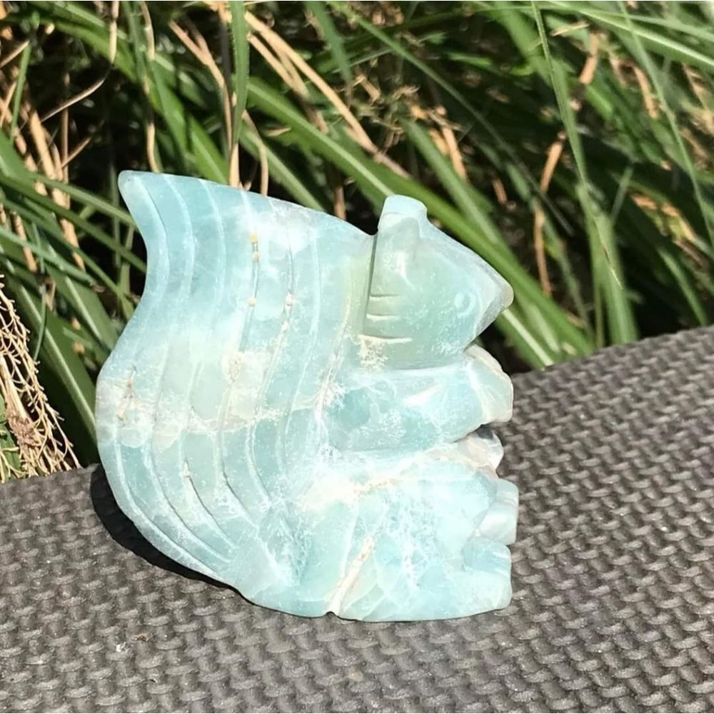 Caribbean Calcite Squirrel - Picture 3 of 10
